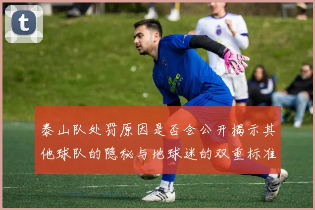 泰山队处罚原因是否会公开揭示其他球队的隐秘与地球迷的双重标准
