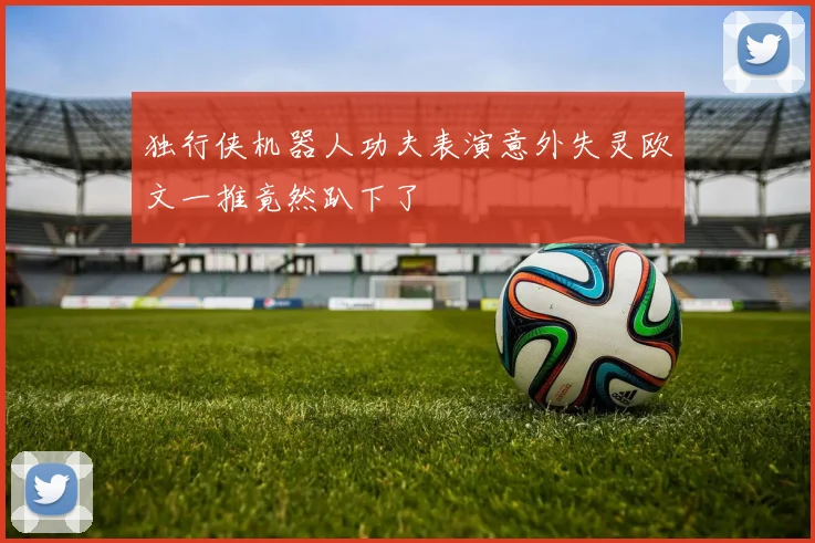 独行侠机器人功夫表演意外失灵欧文一推竟然趴下了