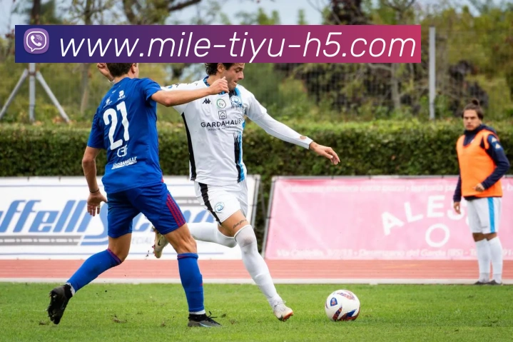 米乐体育平台生态图