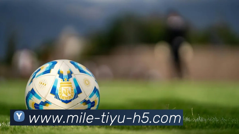 米乐体育APP 封面图